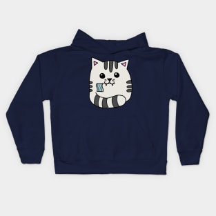 demiboy pride flag cat Kids Hoodie